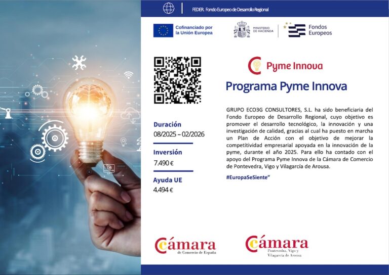 PYME INNOVA FEDER EMPRESA
